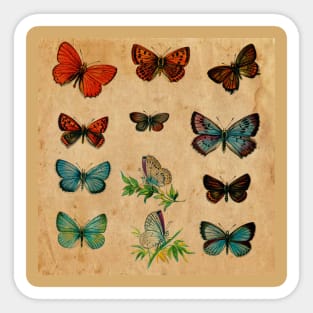 Watercolour Butterflies Sticker